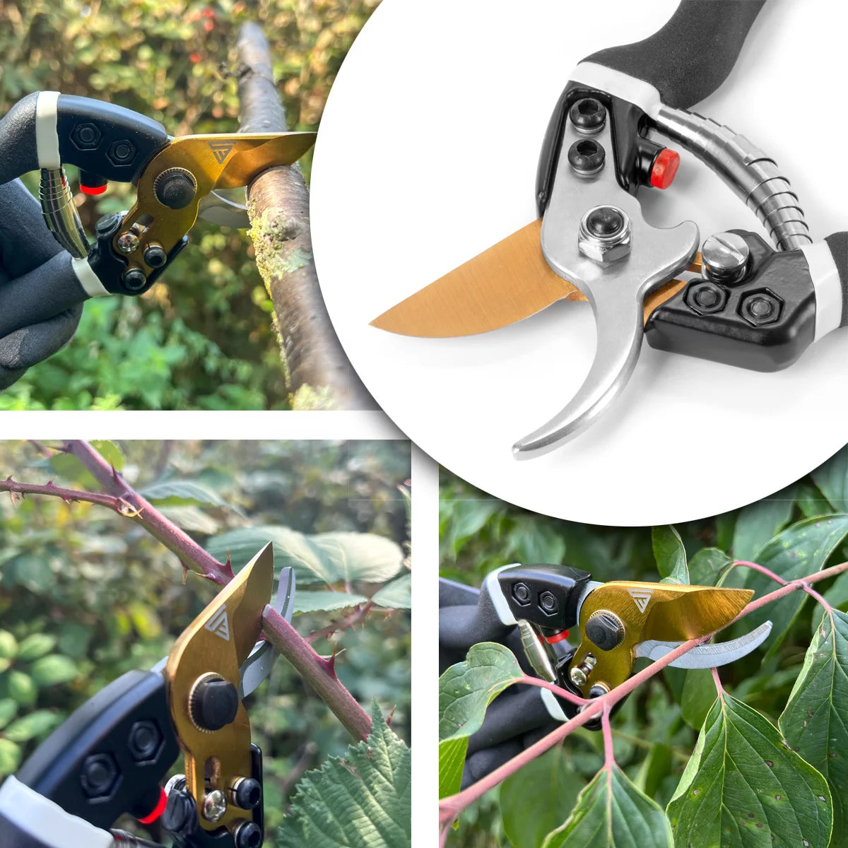 Steelworks garden scissors made of carbon steel professional rose scissors | Vineyards | Gärtnerscheers | Bypass scissors | Plant scissors | Flower scissors | Prick