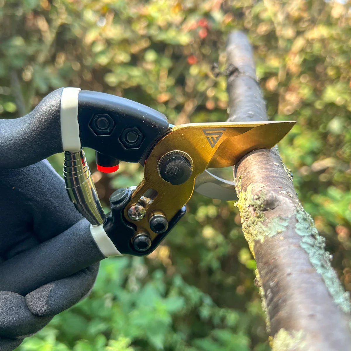 Steelworks garden scissors made of carbon steel professional rose scissors | Vineyards | Gärtnerscheers | Bypass scissors | Plant scissors | Flower scissors | Prick